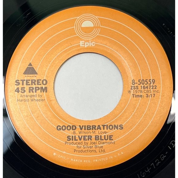 Silver Blue Tennessee Waltz / Good Vibrations 45 Disco Funk 1978 Epic 8-50559 - Picture 2 of 6